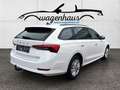 Skoda Octavia Combi 2,0 TDI Business DSG, AHV, APP, Sitzheizung Weiß - thumbnail 3
