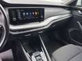 Skoda Octavia Combi 2,0 TDI Business DSG, AHV, APP, Sitzheizung Weiß - thumbnail 10