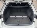Skoda Octavia Combi 2,0 TDI Business DSG, AHV, APP, Sitzheizung Weiß - thumbnail 18
