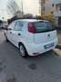 Fiat Punto 5p 1.2 metano 69cv Unico proprietario Bianco - thumbnail 2