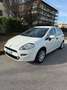 Fiat Punto 5p 1.2 metano 69cv Unico proprietario Bianco - thumbnail 1