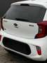 Kia Picanto Dream Team/NAVI/RFK/TÜV Weiß - thumbnail 5