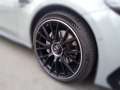 Mercedes-Benz E 53 AMG E 53 T AMG HYBRID 4MATIC+ Premium AHK Night Grau - thumbnail 9