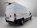 Peugeot Boxer 35+ L4H3 BlueHDi 140 S&S Pro *1. Besitz, MwSt.* Weiß - thumbnail 7