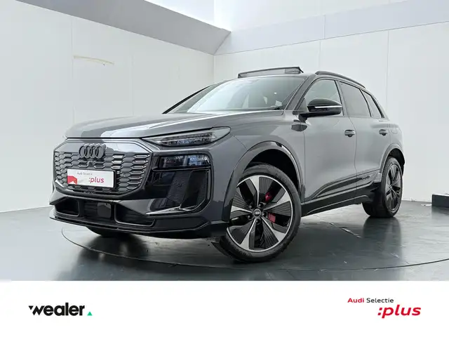 Audi SQ6 e-tron quattro 100 kWh | 490 PK | SoH 98% | Panoramadak |