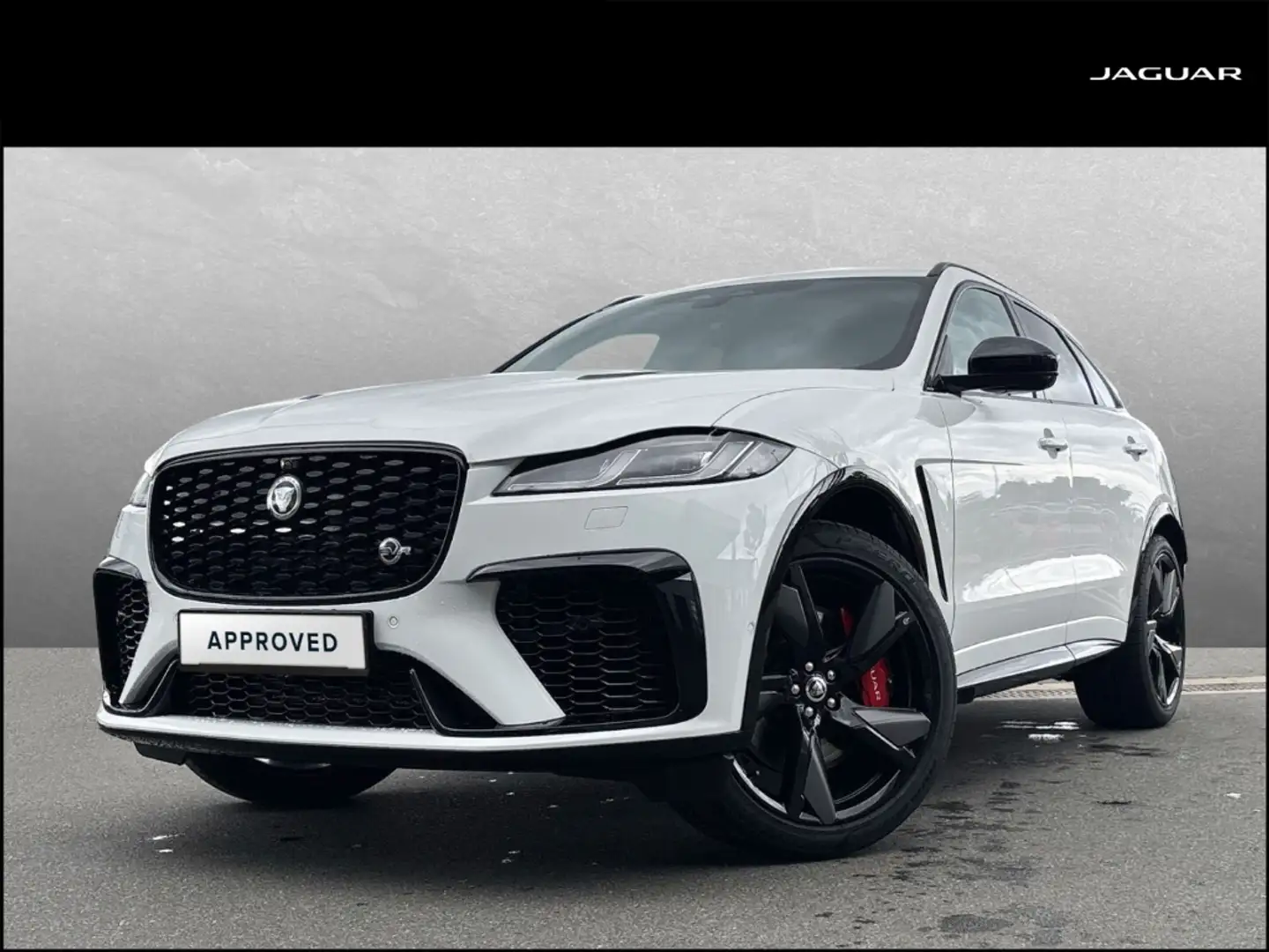 Jaguar F-Pace P550 SVR 22'' Pano HUD AHK V8 Blanco - 1