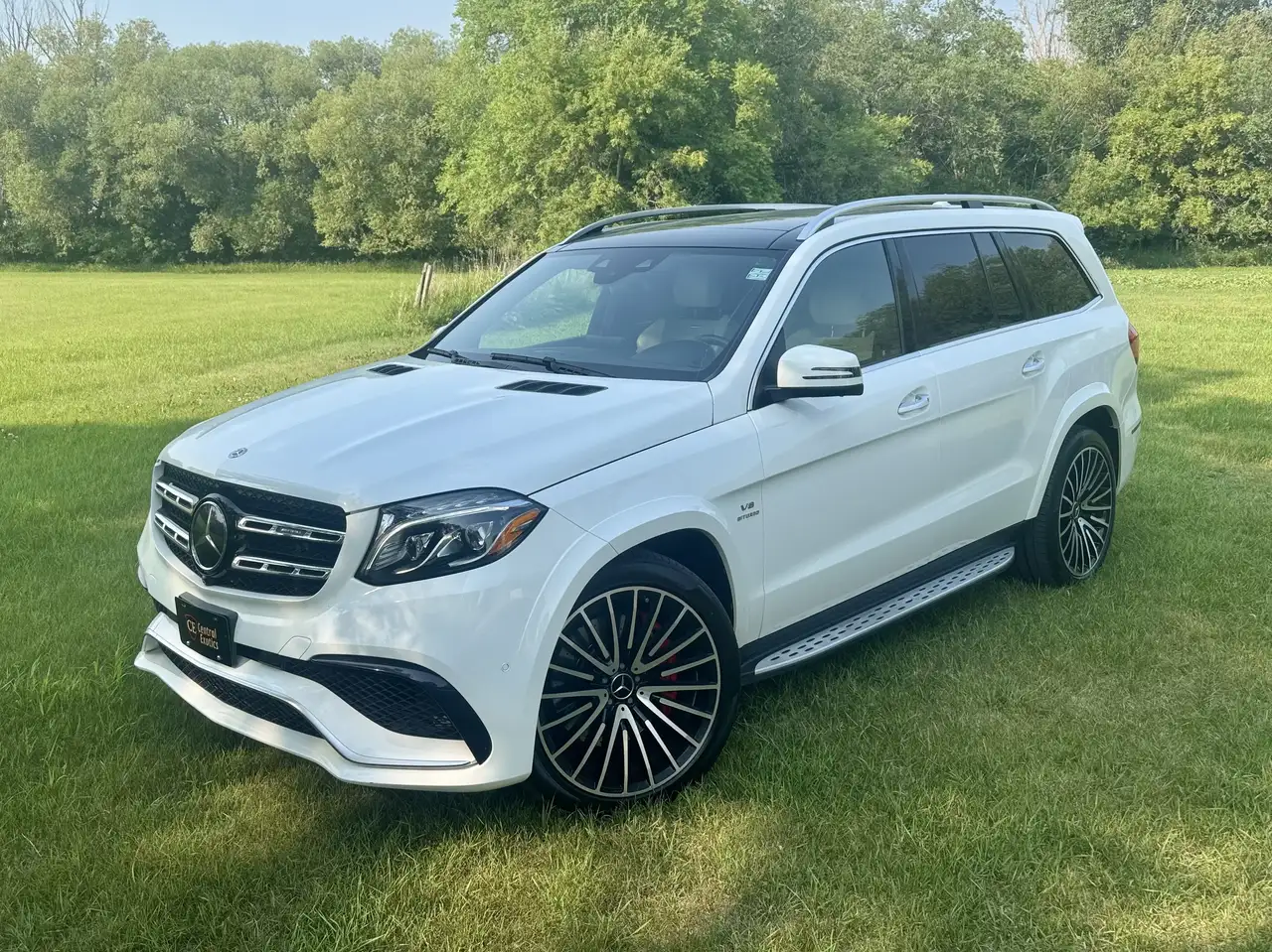 2017 Mercedes-Benz GLS