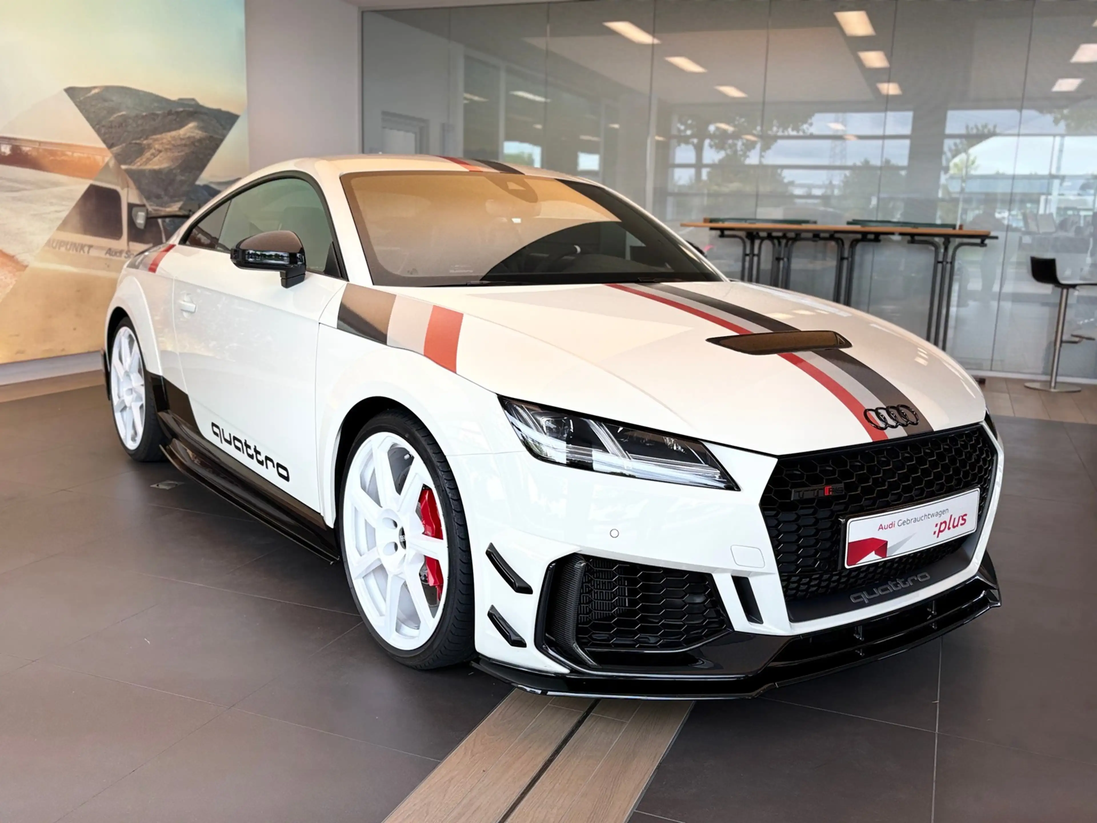 Audi TT RS 40 Jahre quattro Nr. 18 von 40 — photo 7