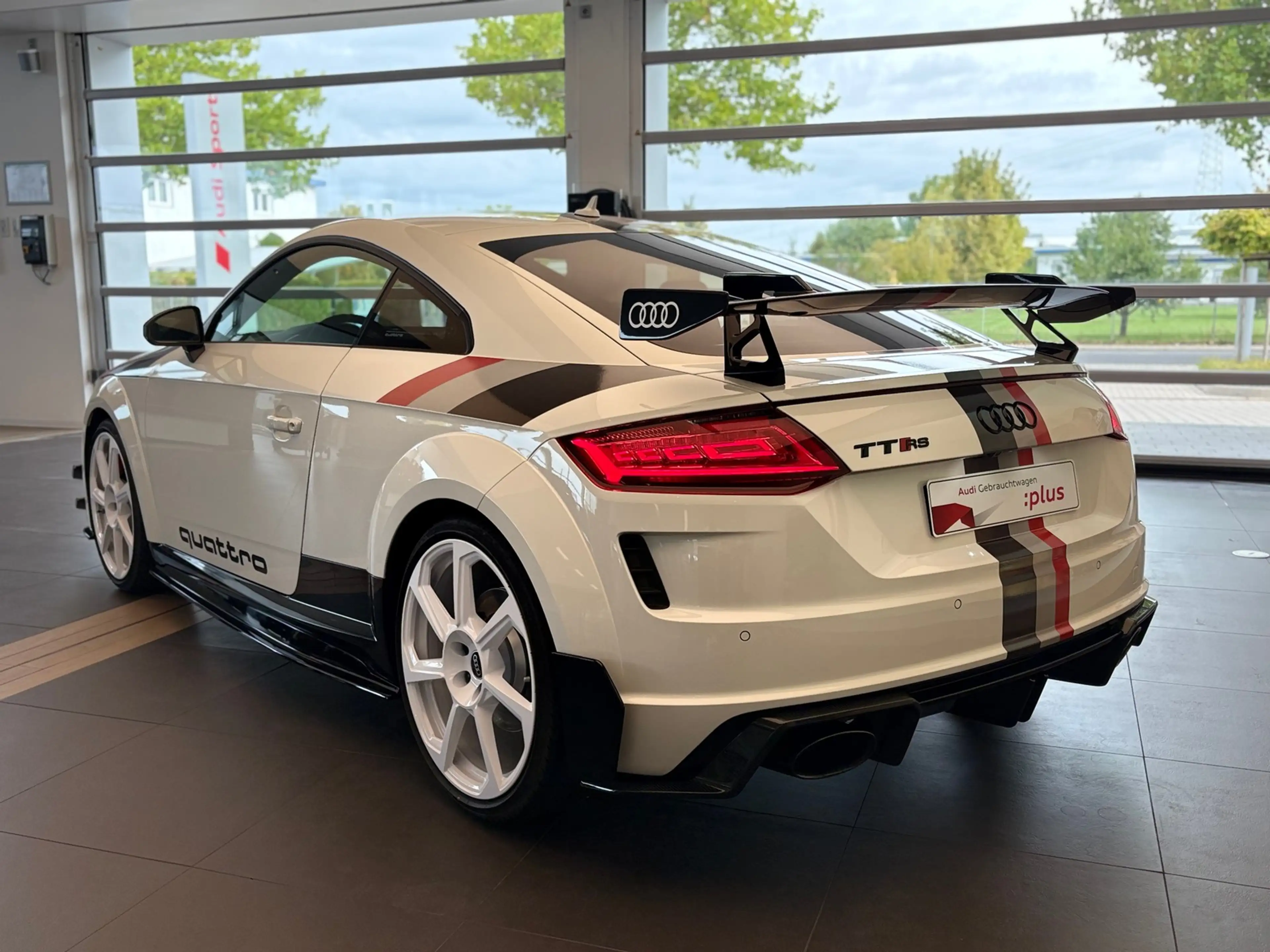 Audi TT RS 40 Jahre quattro Nr. 18 von 40 — photo 4