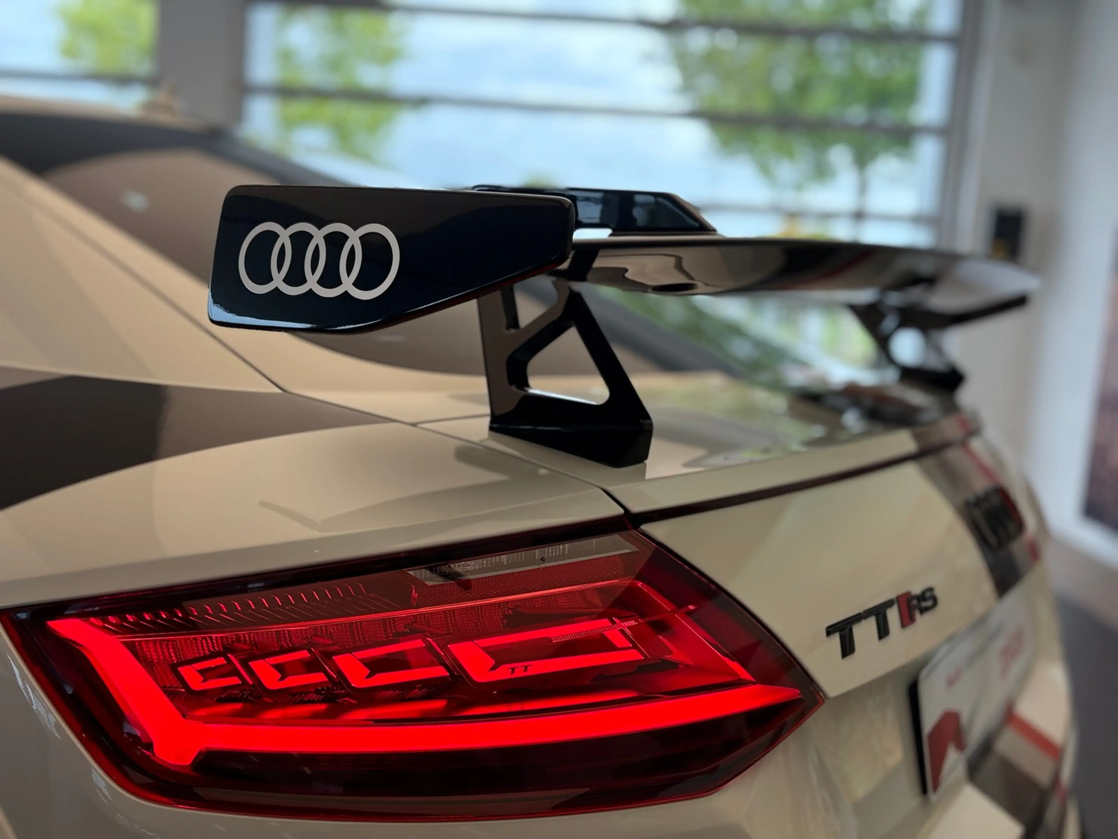 Audi TT RS 40 Jahre quattro Nr. 18 von 40 — photo 11
