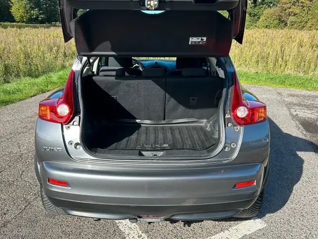 Nissan Juke view 5