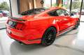 Ford Mustang MATCH 1 Rojo - thumbnail 25