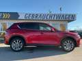Mazda CX-5 G165 Ad'vantage 2WD HUD BLIS 360° Navi Rot - thumbnail 8