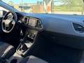 SEAT Leon Leon ST 1.6 tdi cr Business High s - thumbnail 11