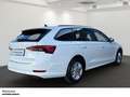 Skoda Octavia Combi Ambition 2.0 TDI DSG LED NAVI AHK Weiß - thumbnail 3