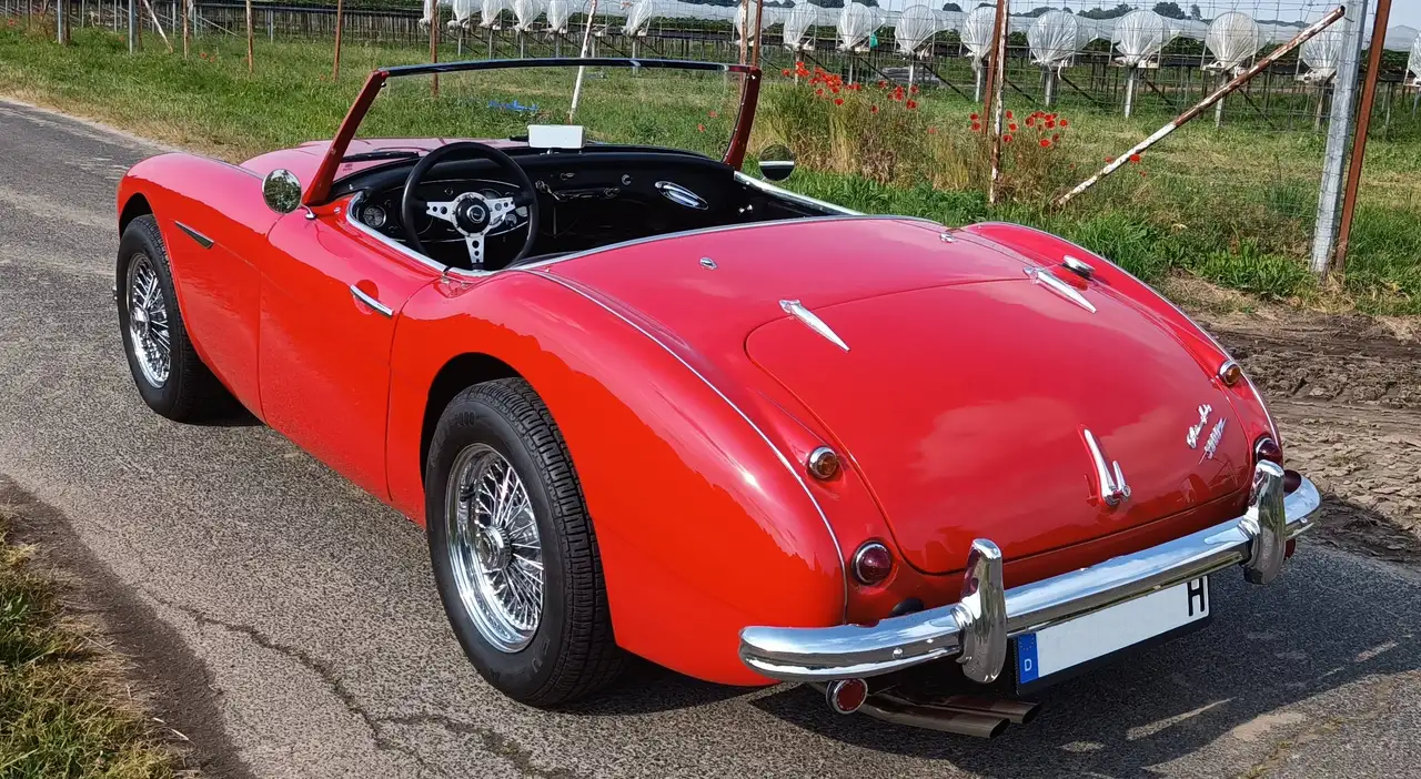 Austin-Healey 3000 MKI (BN7), foto 3