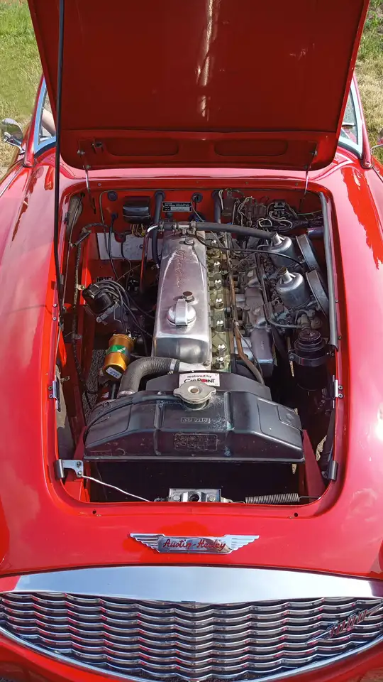 Austin-Healey 3000 MKI (BN7), foto 7