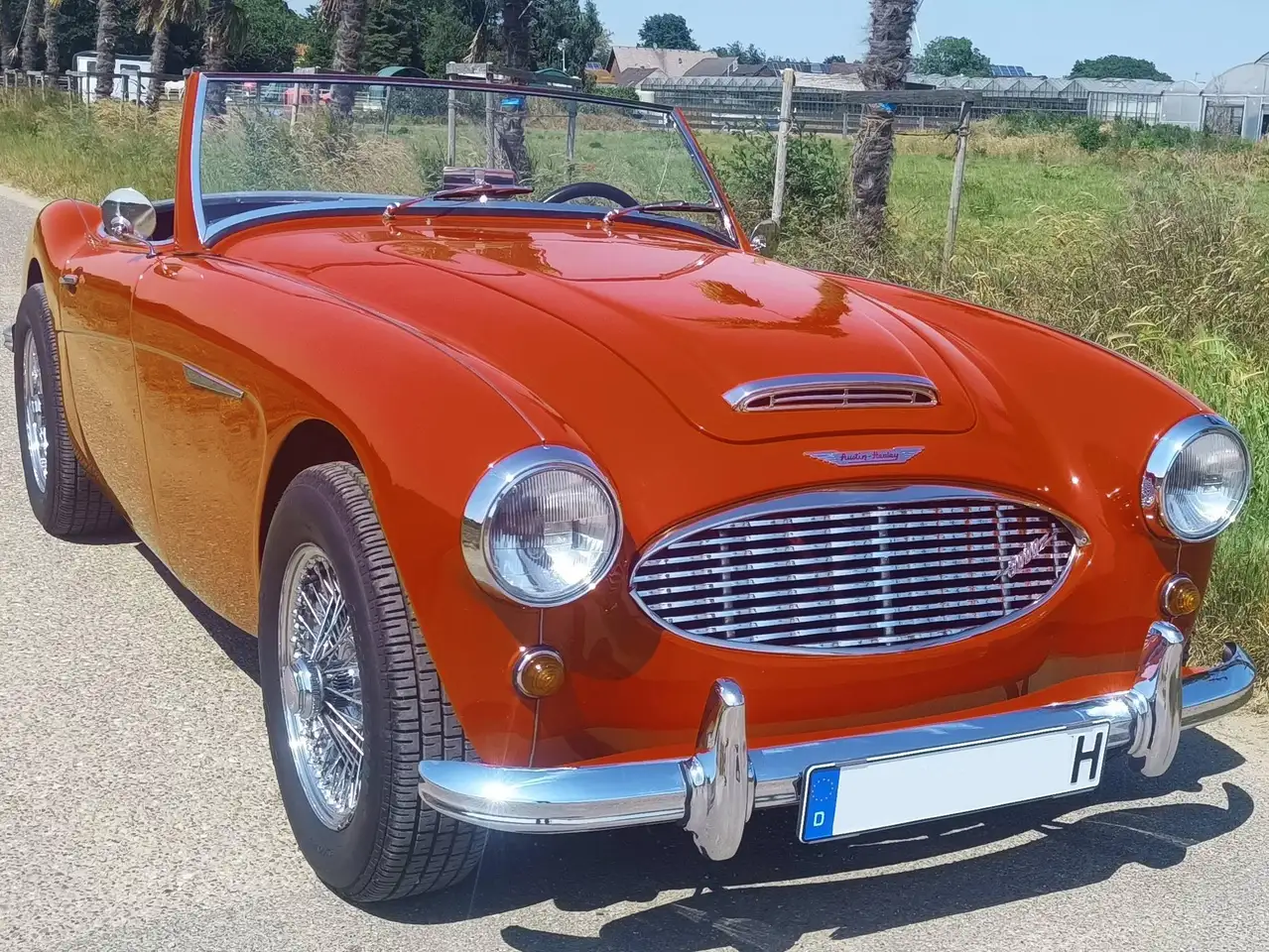 Austin-Healey 3000 MKI (BN7), foto 1