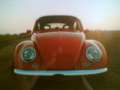 Volkswagen Käfer 1200 Roşu - thumbnail 2