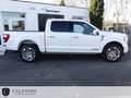 Ford F 150 LIMITED SUPERCREW POWERBOOST HYBRIDE Blanc - thumbnail 2