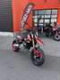 Ducati Rosso - thumbnail 1