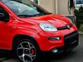 Fiat Panda 4x2 FireFly Hybrid 70 Sport Rot - thumbnail 12