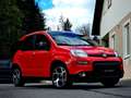 Fiat Panda 4x2 FireFly Hybrid 70 Sport Rot - thumbnail 1