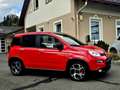 Fiat Panda 4x2 FireFly Hybrid 70 Sport Rot - thumbnail 7
