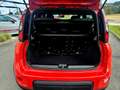 Fiat Panda 4x2 FireFly Hybrid 70 Sport Rouge - thumbnail 26