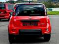 Fiat Panda 4x2 FireFly Hybrid 70 Sport Rot - thumbnail 33