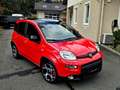 Fiat Panda 4x2 FireFly Hybrid 70 Sport Rot - thumbnail 8