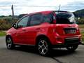 Fiat Panda 4x2 FireFly Hybrid 70 Sport Rot - thumbnail 11
