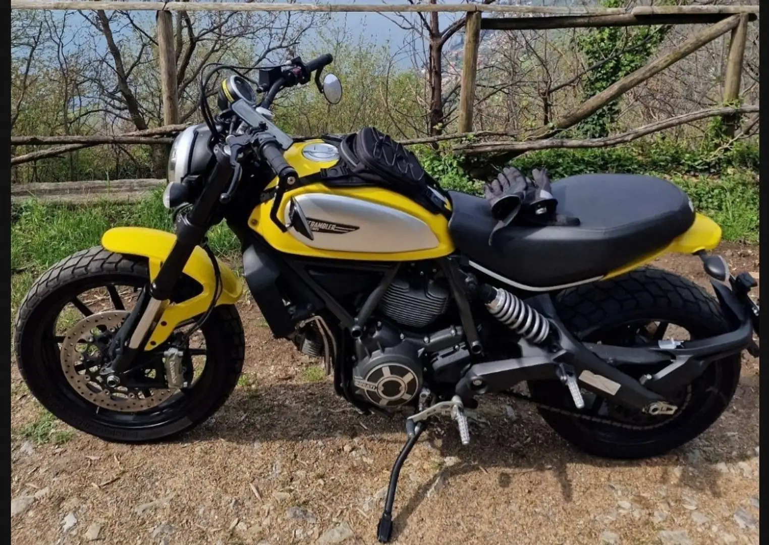 Ducati Scrambler Icon 800 Giallo - 2