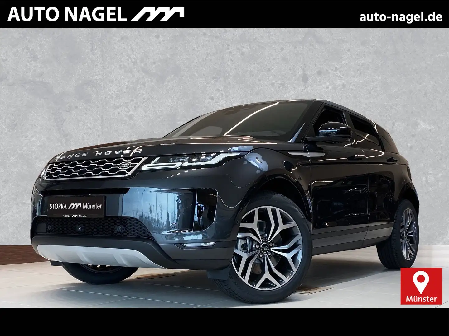 Land Rover Range Rover Evoque Range Rover Evoque D165 *Nolita Edt.*AHK WinterP Grau - 1