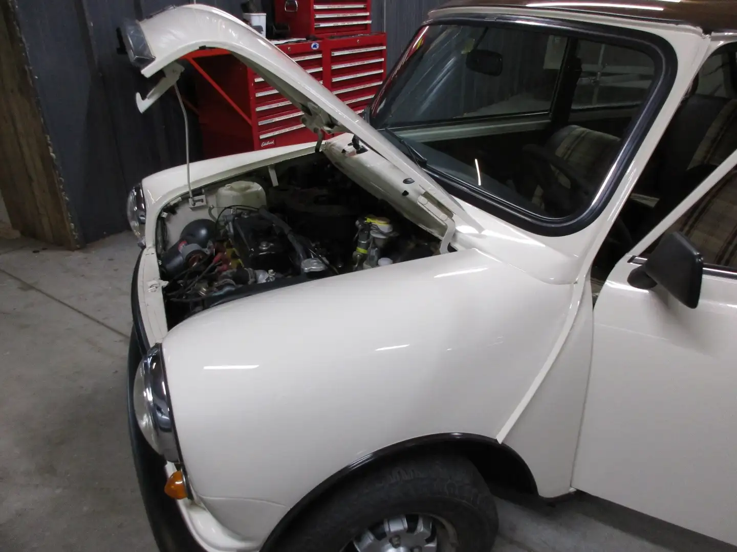 MINI 1000 1000 HLE Bej - 2