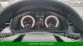 Skoda Kamiq TSI Monte Carlo *SmartLink*LED*Pano*Kessy Grau - thumbnail 23