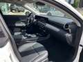 Mercedes-Benz CLA 250 e Coupé Progressive Weiß - thumbnail 17