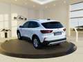 Ford Kuga 1.5 EcoBoost Titanium ACC PDC KAM360 LED Weiß - thumbnail 4