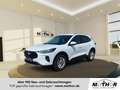 Ford Kuga 1.5 EcoBoost Titanium ACC PDC KAM360 LED Weiß - thumbnail 1