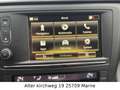 Renault Kadjar Crossborder Bose Leder Kamera PDC SHZ BT Rot - thumbnail 21