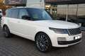 Land Rover Range Rover 5.0 V8 Facelift*Standhzg*Pano*22Zoll Weiß - thumbnail 2
