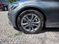 Mercedes-Benz C 200 C 200 (BlueTEC) d T Gris - thumbnail 20