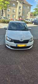 1.0 MPI 60 ch Greentec Fun
