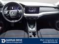 Skoda Octavia Octavia Combi Style 2.0 TDI DSG Matrix Ahk Blau - thumbnail 13