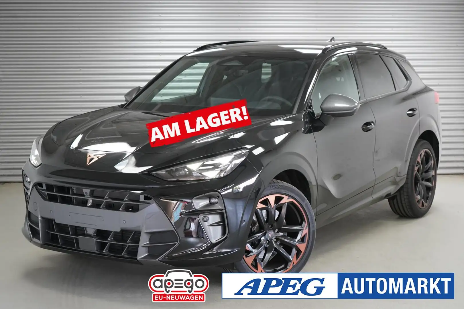 CUPRA Terramar 2,0 TSI DSG 4Drive VZ Noir - 1