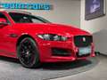 Jaguar XE 20d R-Sport AWD / Pano / Leder / Rot - thumbnail 7