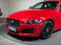 Jaguar XE 20d R-Sport AWD / Pano / Leder / Rot - thumbnail 12