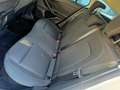 Ford Focus Cool /KAMERA/ACC/ Weiß - thumbnail 16