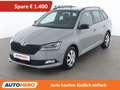 Skoda Fabia 1.0 TSI Monte Carlo Grau - thumbnail 1