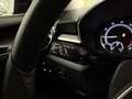 Skoda Fabia 1.0 TSI Ambition DSG 81kW Negro - thumbnail 16